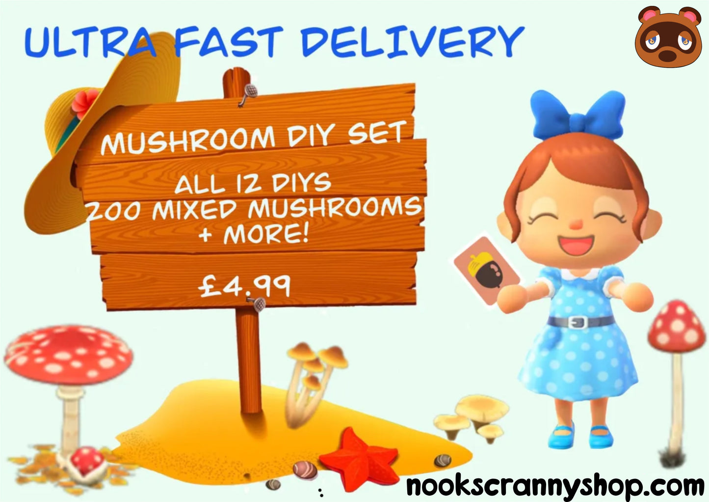 Mushroom DIY set